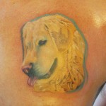 Puppy dog done in Hamburg, Germany