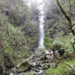 first rainforest stop an frist waterfall