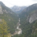 4/3 Yosemite Park