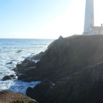 4/5 driving down PCH most amazing road ever