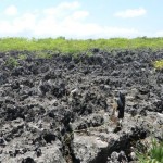 Hells Limestone formations